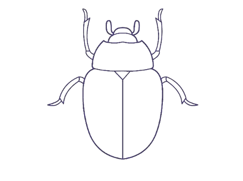 一只甲壳虫的简笔画 