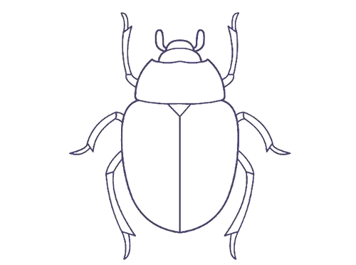 一只甲壳虫的简笔画