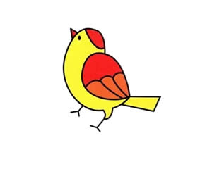 黄鹂鸟简笔画画法