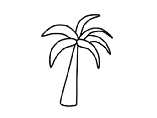 简单的椰子树简笔画