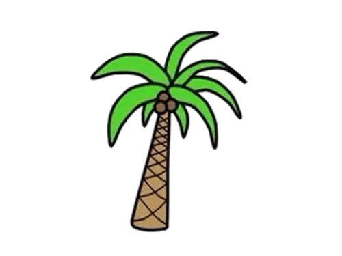 简单的椰子树简笔画