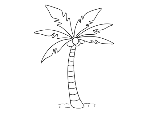 简单的椰子树怎么画图片
