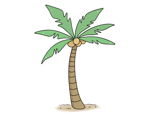 椰子树叶简笔画彩色图片