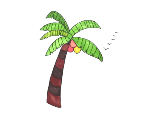 高大美丽的椰子树简笔画