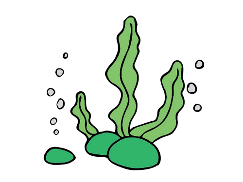 亲子简笔画海底植物怎么画