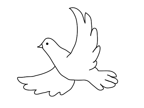 和平鸽怎么画 一只图片