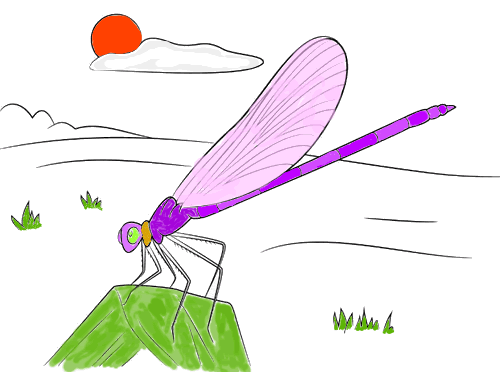 草上的蜻蜓简笔画 