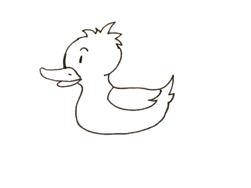 鸭子的羽毛简笔画图片