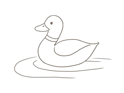 绿荫水面一只鸭子简笔画