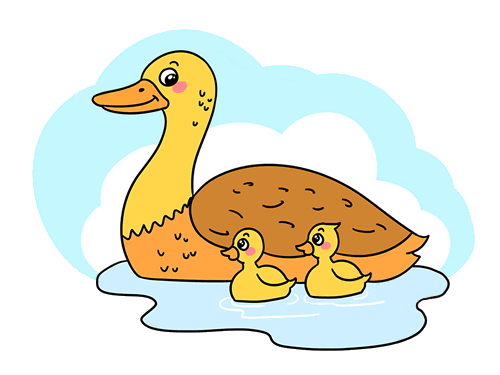 小鸭子学游泳简笔画图片