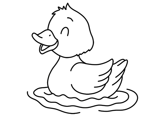 河里的小鸭子简笔画图片