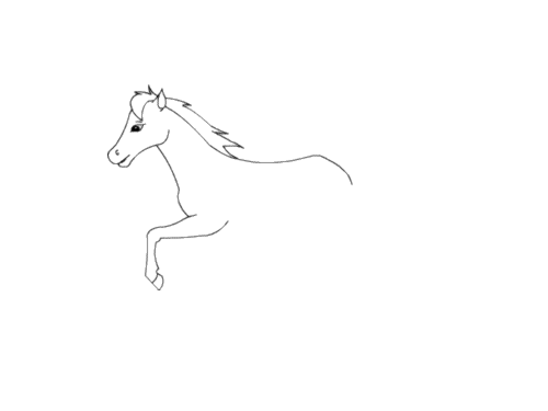 飞奔的马的简笔画图片