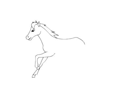 奔跑的小马简笔画图片图片
