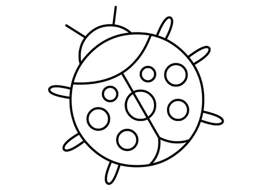 幼儿亲子简笔画简单瓢虫 