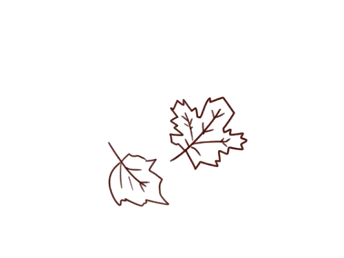 秋天落叶树叶简笔画