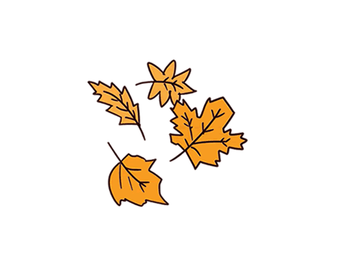 落叶怎么画简单好看图片
