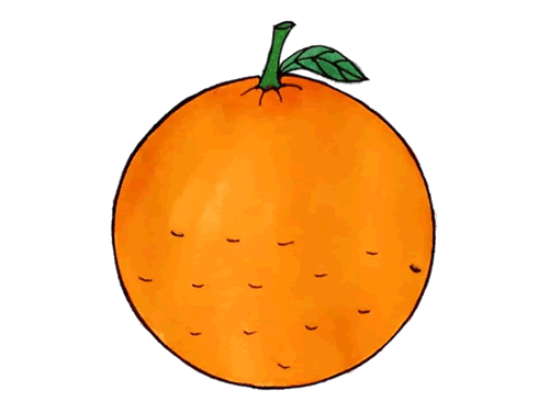 水果橙子orange简笔画