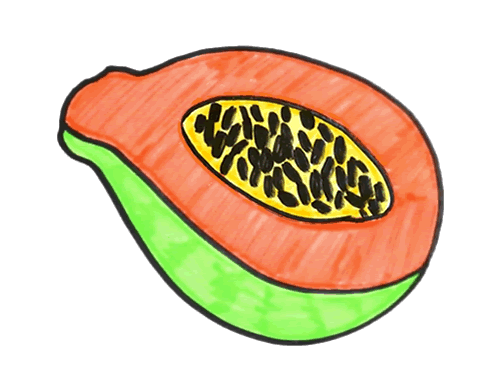 木瓜的画法图片