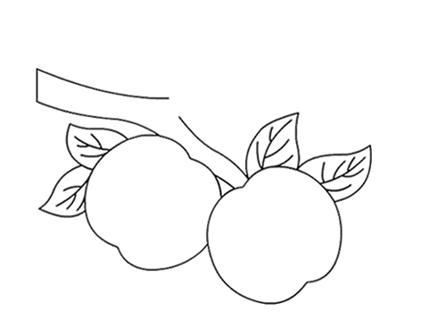 桃子叶子简笔画图片