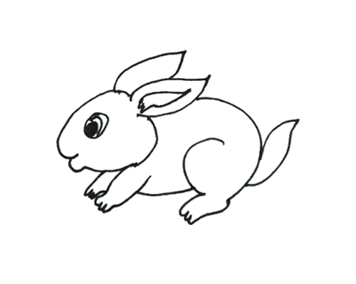 兔子简笔一笔画图片