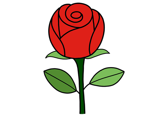 娇艳的玫瑰简笔画简单画法