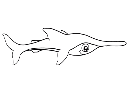 八爪鲨的简笔画图片