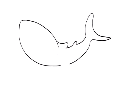 鲸鲨鲨鱼简笔画