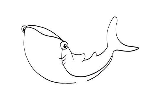 鲸鲨图片简笔画图片