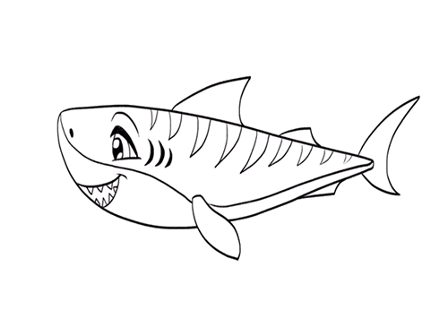 牛鲨简笔画 虎鲨图片