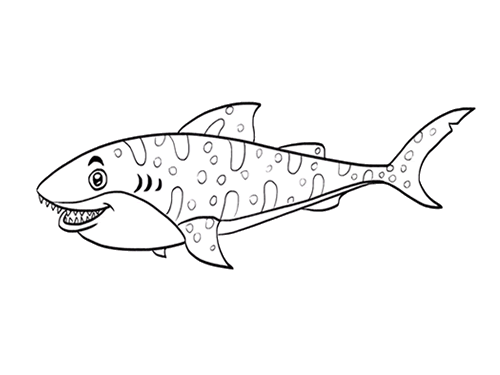 豹鲨鲨鱼简笔画