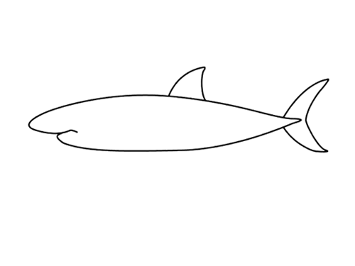 大白鲨简笔画