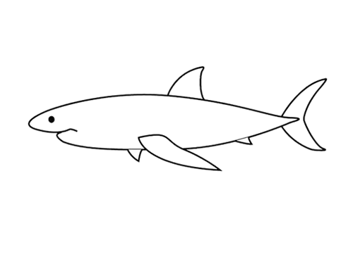 大白鲨简笔画