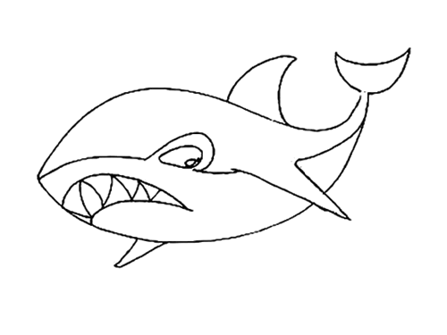 简单大白鲨简笔画画法