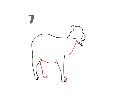 山羊的画法步骤图片