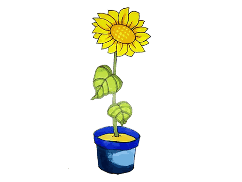 盆栽向日葵绘画图片