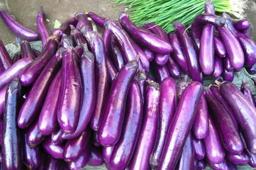 紫色藤菜图片大全图片