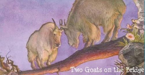 Two Goats on the Bridge 两只山羊在桥上