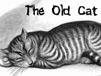 The Old Cat 老猫