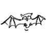 bat [bæt] 蝙蝠