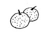 pear [pɛr] 梨子