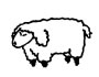 sheep [ʃip] 绵羊