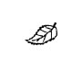 leaf [lif] 树叶