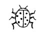 bug [bʌɡ] 昆虫