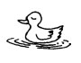 duck [dʌk] 鸭子
