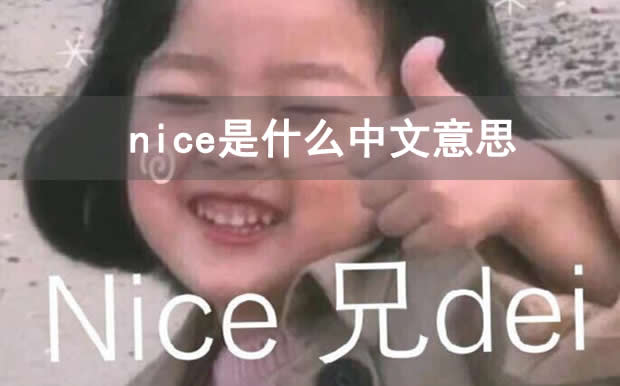 nice是什么中文意思